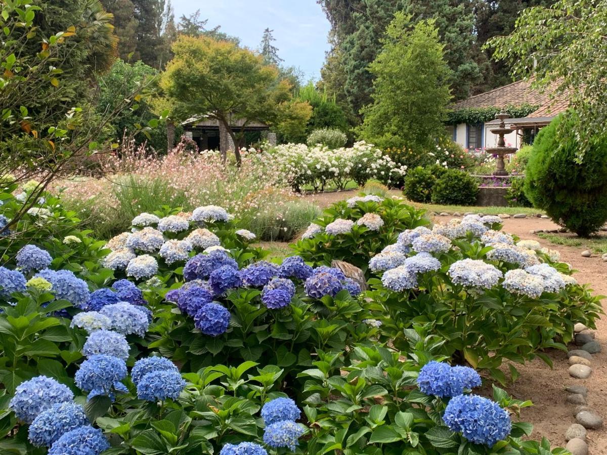 Bed & Breakfast ,Casa De Campo San Esteban,Linares Miraflores Zewnętrze zdjęcie