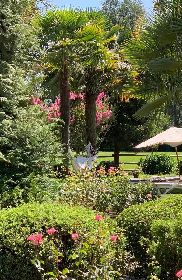 Bed & Breakfast ,Casa De Campo San Esteban,Linares Miraflores Zewnętrze zdjęcie