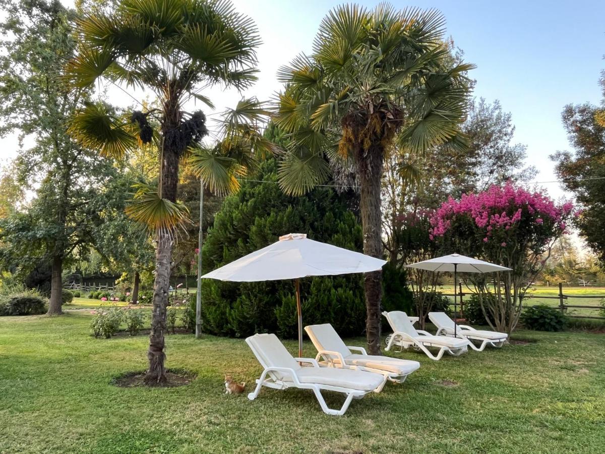 Bed & Breakfast ,Casa De Campo San Esteban,Linares Miraflores Zewnętrze zdjęcie